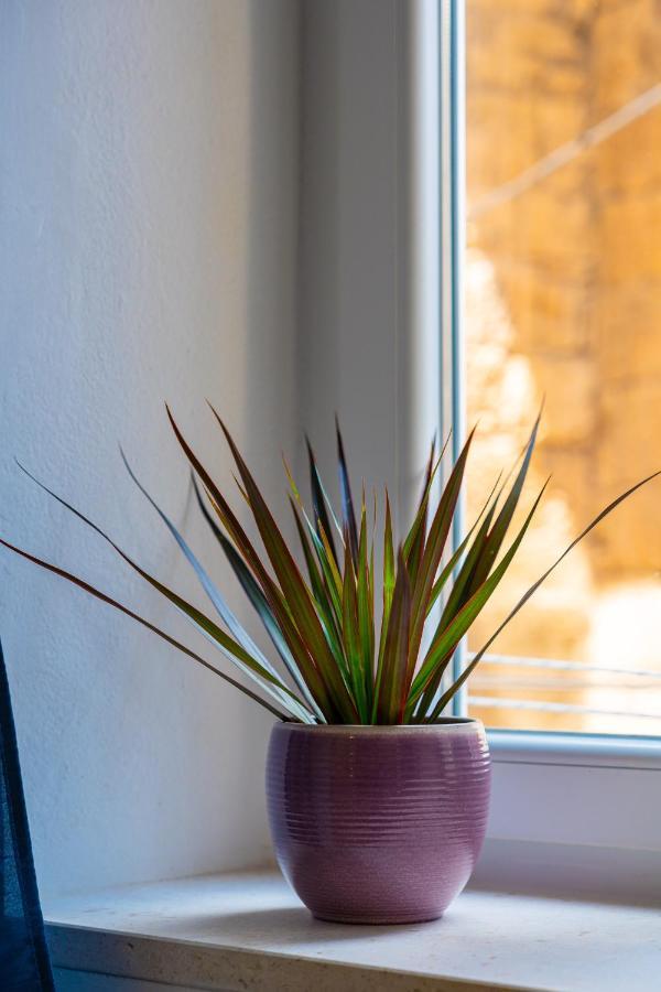 Apartment Rose Korčula Zewnętrze zdjęcie